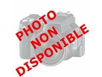 Consommable Imprimante Epson Cartouche T0481 Stylus Photo Noire