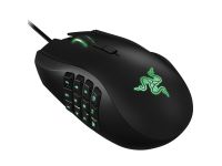 Naga 2014