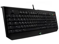 Blackwidow 2013