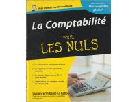 LA COMPTABILITE POUR LES NULS